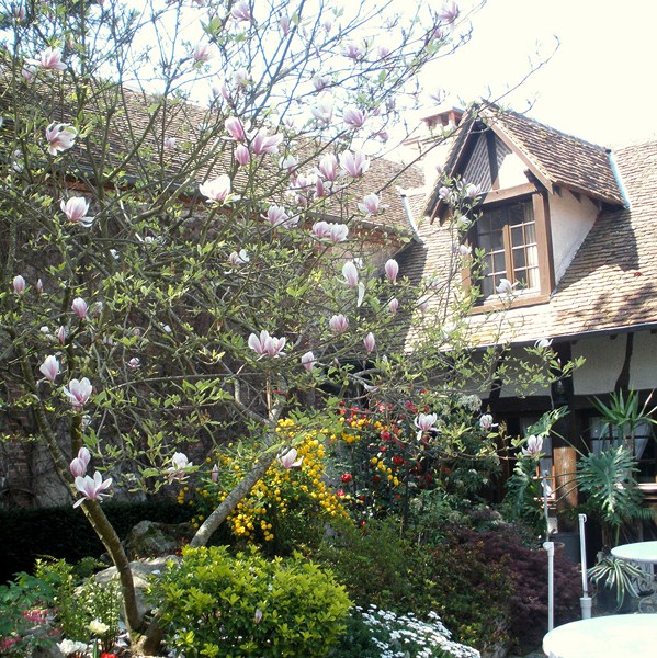 Auberge du faisan doré jardin 2 - Crédit photo : © Auberge du faisan doré