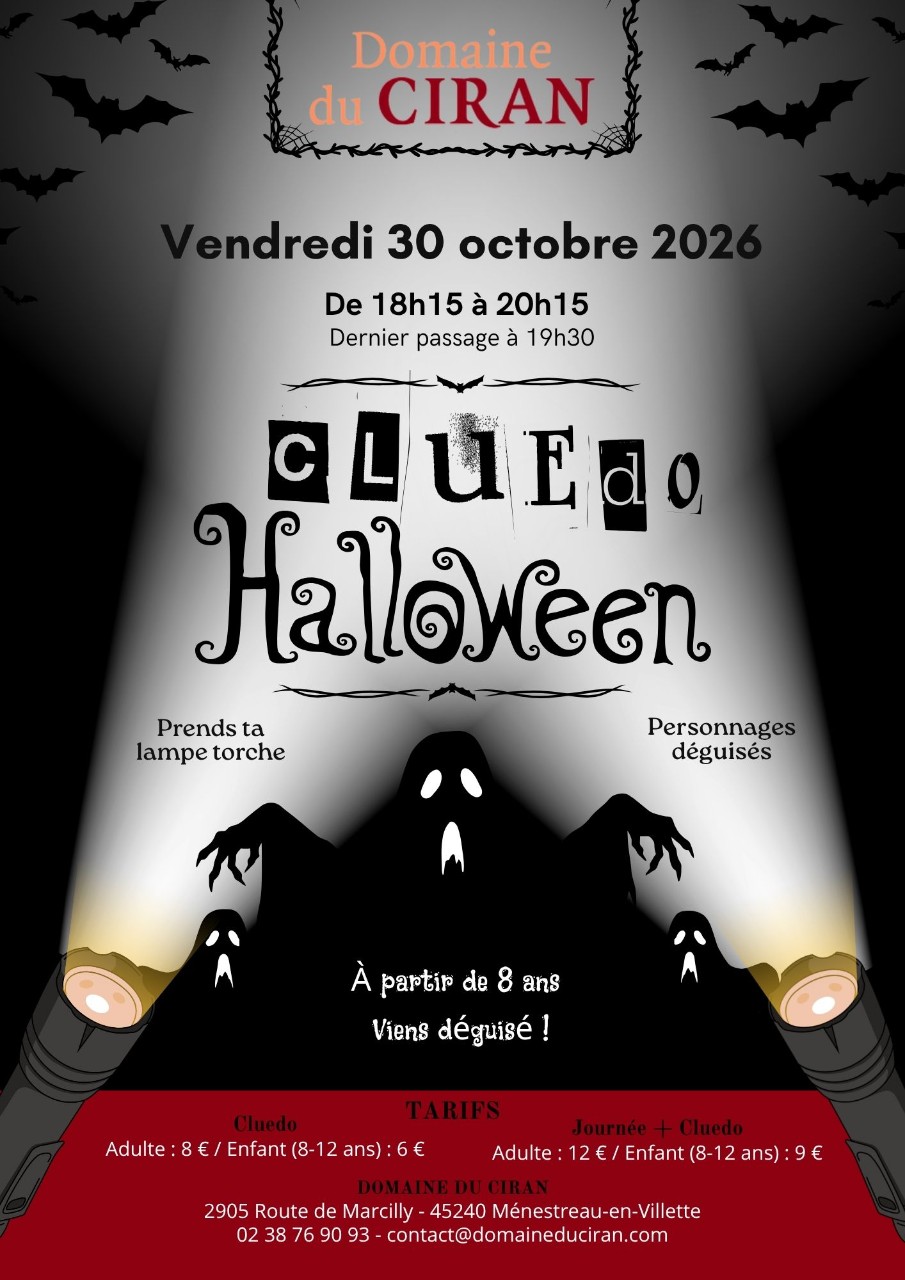Cluedo Géant