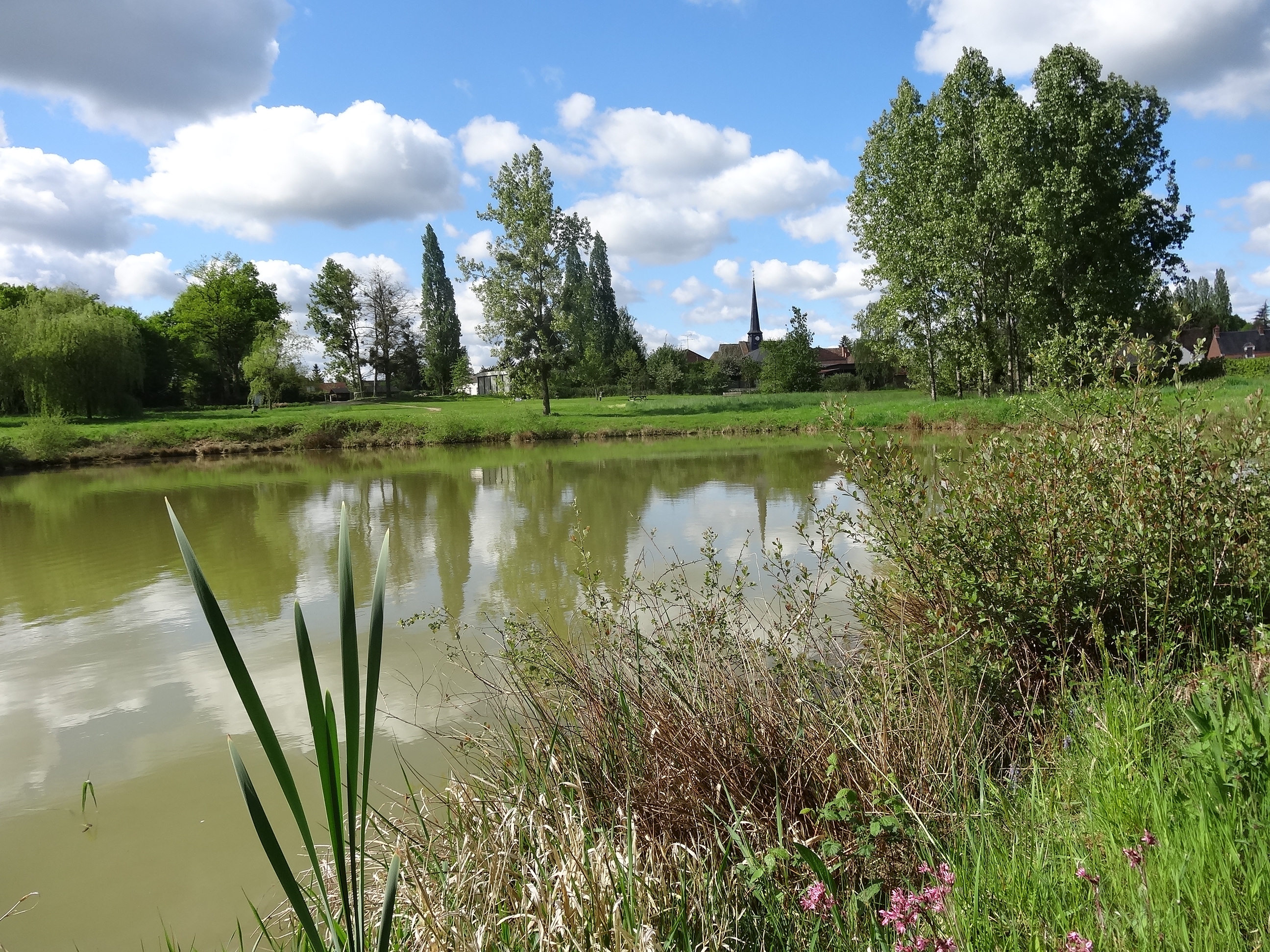 ISDES---Etang-des-Pres-Bas-2 - Crédit photo :