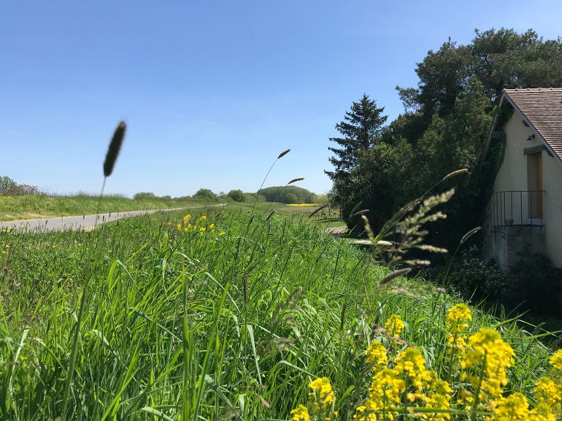 La Loire à vélo - Crédit photo : Les gorgeats